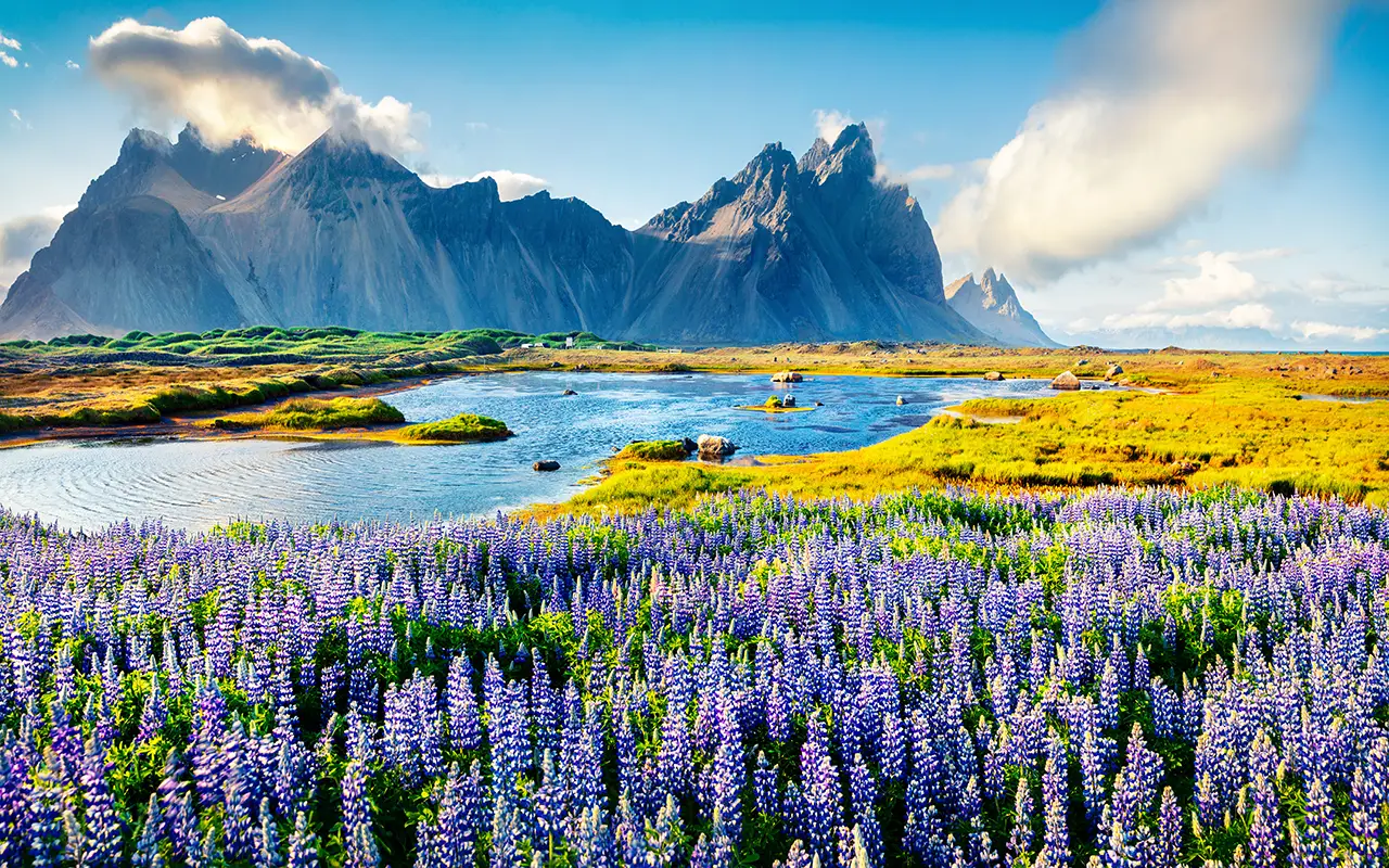 How to Apply for an Iceland Schengen Visa?